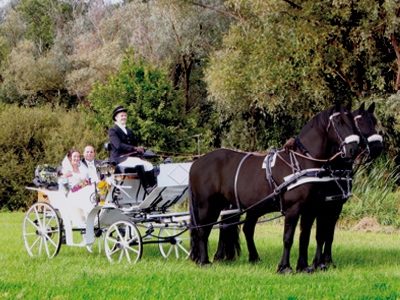 Exklusive Kutschfahrten in der Lüneburger Heide